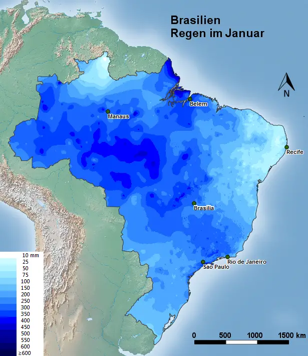 Brasilien Regen Januar