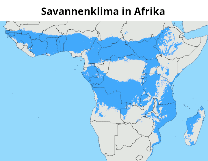 Savannenklima Afrika