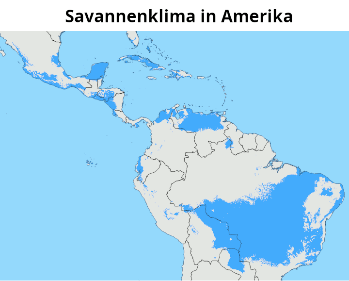 Savannenklima Amerika